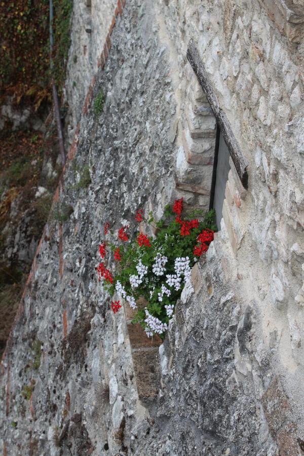 Il Castello Sul Lago Arrone Luaran gambar